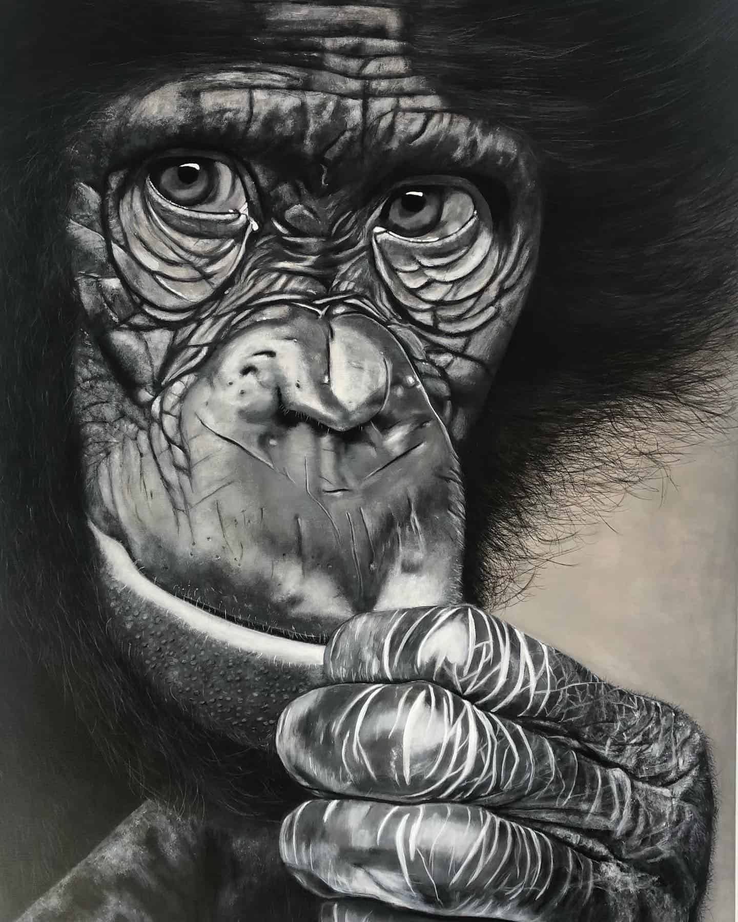 My new best friend ️The chimpanzee is our closest relative. Let's take care of them, and all other animal species too - and last but not least, each other......#artbyJSVJ #JSVJ #jannejohannessen #90x130 #chimpanzee #lookingforalovinghome #maleri #painting #kunst #art #artwork #acrylicpainting #akryl #portrait #contempoaryart #modernart #danishart #vægmaleri #vægkunst #interior #loveart